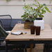 Two IKEA VARDAGEN brown glasses styled with a plant and napkin on rustic dining table