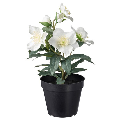 IKEA artificial potted plant in balsam white color - indoor/outdoor use