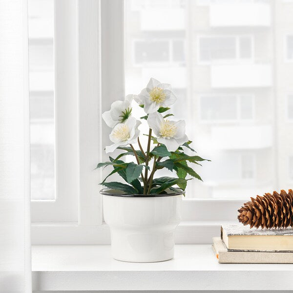 Low-maintenance 12cm artificial potted plant in balsam white- perfect for any decor