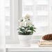Low-maintenance 12cm artificial potted plant in balsam white- perfect for any decor