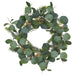 IKEA VINTERFINT artificial eucalyptus wreath, round green shape, 45cm #90606556