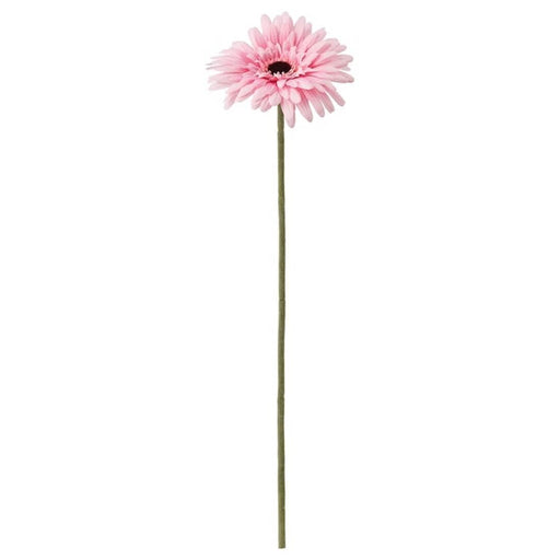Digital Shoppy IKEA Artificial Flower, Gerbera/Pink,flowers for dcoration, flowers online, flowers bouquiet  50 cm (19 ¾ ") 30409766
