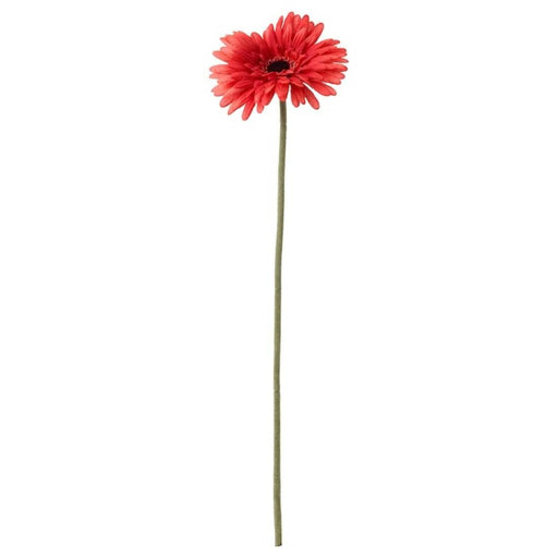 Digital Shoppy IKEA Artificial Flower,Flowers for Decoration, Flowers In Online,  Gerbera/red, 50 cm (19 ¾ ") 30409752