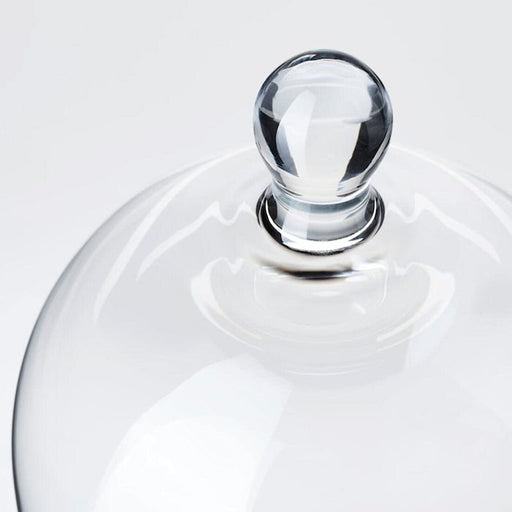 Digital Shoppy IKEA Glass Dome, Clear Glass, 25 cm (9 ¾")