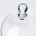 Digital Shoppy IKEA Glass Dome, Clear Glass, 25 cm (9 ¾")