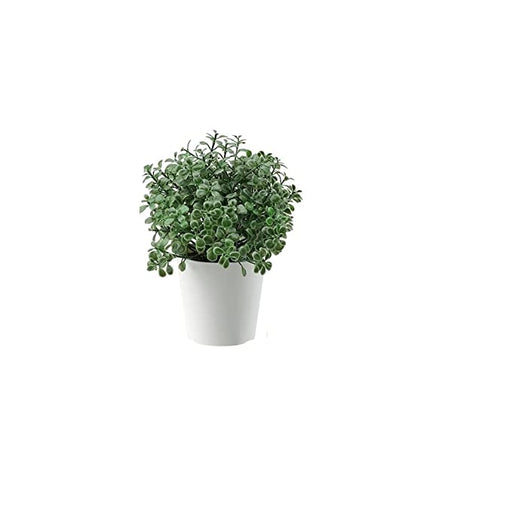 Digital Shoppy IKEA Artificial Potted Plant Pot, in/Outdoor Green, 6 cm (2 ¼ ") decor home plant indoor outdoor online low price