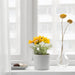 Digital Shoppy IKEA Artificial Potted Plant, Indoor/Outdoor/Cosmos Yellow, 9 cm (3 ½ ")  40506494