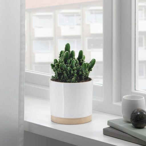 An IKEA plant pot in a classic cylindrical shape. 69139000