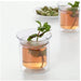  IKEA Tumbler Double Walled Clear Glass - 2 Pack price online decoration decorative digital-shoppy 50358983