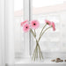 Digital Shoppy IKEA Artificial Flower, Gerbera/Pink,flowers for dcoration, flowers online, flowers bouquiet  50 cm (19 ¾ ") 30409766