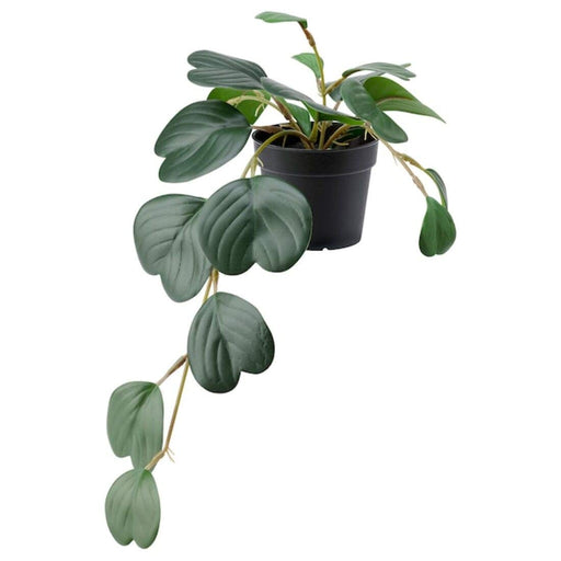 digital shoppy An artificial hanging peperomia plant in a 9 cm pot, designed to look lifelike and natural.  80468447