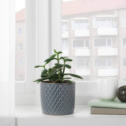 A minimalist plant pot with a matte finish and a clean, modern design. 90441909