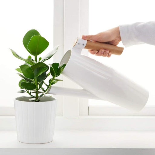 IKEA water can with a pointed spout, pouring water onto the soil of a potted plant.
