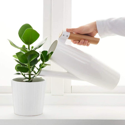 bittergurka plant pot IKEA BITTERGURKA Water Cans: Perfect Solution for Your Indoor and Outdoor Gardening Needs