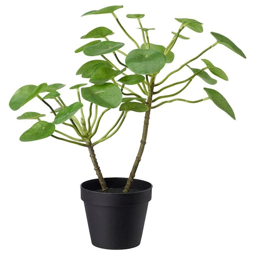 digital shoppy A lifelike artificial Pilea plant in a pot, measuring 12 cm, perfect for indoor and outdoor use, from IKEA.  60395292