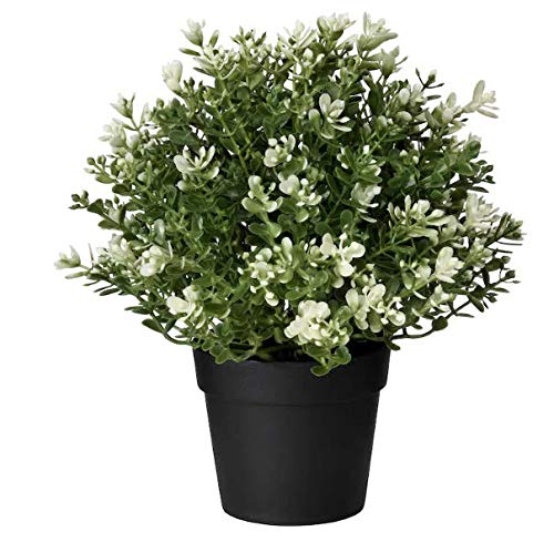 A plastic artificial potted thyme plant, measuring 9 cm in height. The plant features realistic green foliage and is housed in a plastic pot with soil. digital-shoppy-403.751.67