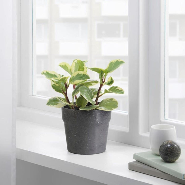 "An IKEA plastic plant pot in a soft grey shade, with a tapered design and a matte finish. It can be used indoors or outdoors and is resistant to UV light.