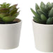 Digital Shoppy IKEA Artificial potted plant with pot, in/outdoor Succulent, 6 cm
