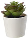 Digital Shoppy IKEA Artificial Succulent Plant with EVA Plastic, Polyethylene Plastic, Paint, Polypropylene Plastic Pot (Green, 1 Piece) - digitalshoppy.in