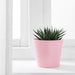 A durable IKEA plant pot that's easy to clean and maintain 20331344