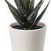 Digital Shoppy Lifelike artificial succulent plant in a plastic pot, designed to look and feel like the real thing, with lush green leaves and a sturdy stem.  (Green, 1 Piece) - digitalshoppy.in