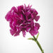 Digital Shoppy IKEA Artificial Flower, Carnation Dark Lilac, 30 cm (11 ¾ ")  50335661