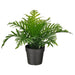 Digital Shoppy A lifelike artificial Whitley Giant potted plant from IKEA, suitable for indoor or outdoor use. 60493339