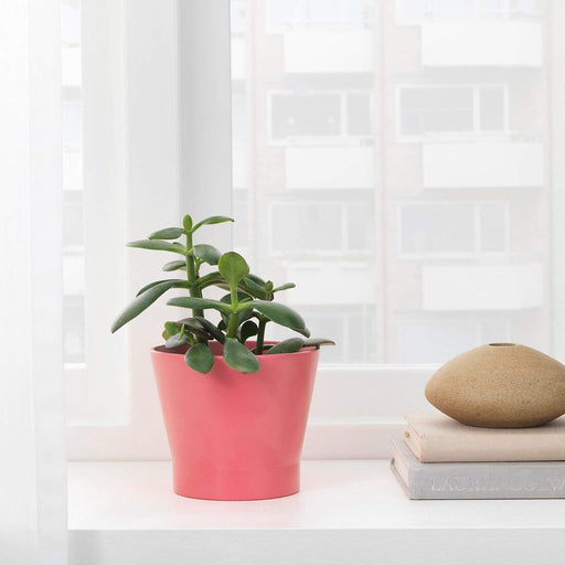 A stylish IKEA plant pot that complements any decor 30421688