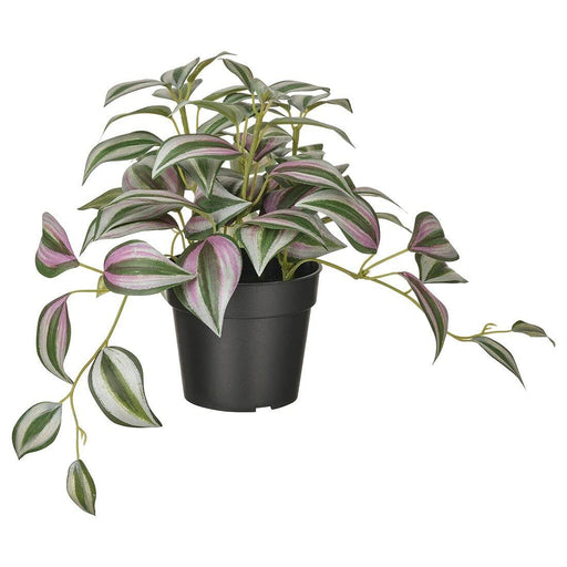 digital shoppy ikea Realistic artificial spiderwort plant in a 9 cm pot, perfect for indoor/outdoor use 50493368