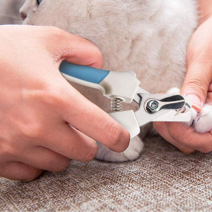 A dog lying down with its paw extended as a person trims its nails using dog nail clippers.