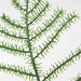 Digital Shoppy An indoor/outdoor artificial potted plant from IKEA featuring a realistic-looking asparagus plant, ideal for any space. (3 ½ ") - digitalshoppy.in
