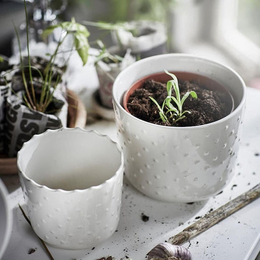 IKEA SESAMFRÖN off-white plant pots with green plant on tray near sunlit window