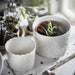 A ceramic planter with a neutral finish 20478350