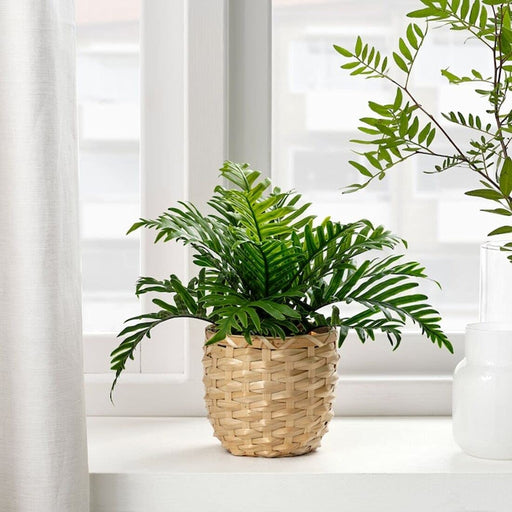Digital Shoppy IKEA's Whitley Giant artificial potted plant, perfect for adding greenery to any space without the need for maintenance.  60493339