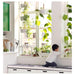  water can with a curved spout and a long handle, sitting on a balcony table next to a potted herb garden