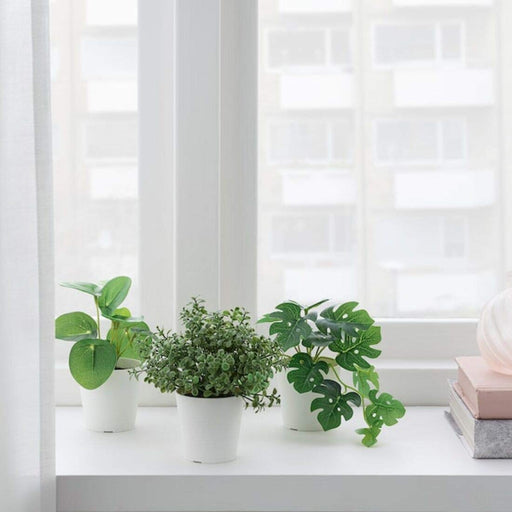 Digital Shoppy IKEA Artificial Plant with Pot, Set of 3, in / Outdoor Green, 6 cm (2 ¼ ")30485208, natural-looking-artificial-plants, artificial-plants-and-trees-indoor, artificial-plants-for-home-decoration, artificial plants india.