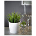 Digital Shoppy A photo of a group of IKEA artificial potted plants, with varying shapes and sizes, arranged on a shelf or windowsill. 80433943