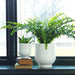 A white IKEA plant pot with a green plant inside 20456659