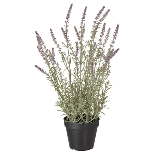 Digital Shoppy IKEA Lavender Lilac Artificial Potted Plant - a lifelike plant with delicate purple flowers in a 12 cm pot, suitable for both indoor and outdoor use.  , online , price, 90476159