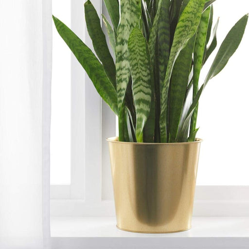 A small plant pot with a curved shape and a smooth surface. 30359422