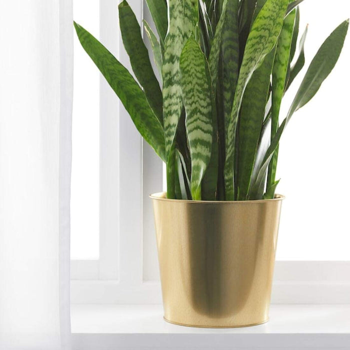 A small plant pot with a curved shape and a smooth surface. 30359422