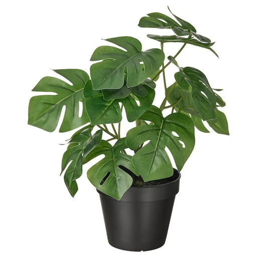 digital shoppyLifelike artificial Monstera plant in a 12 cm pot, featuring green leaves with distinctive perforations and delicate detailing.  30493345