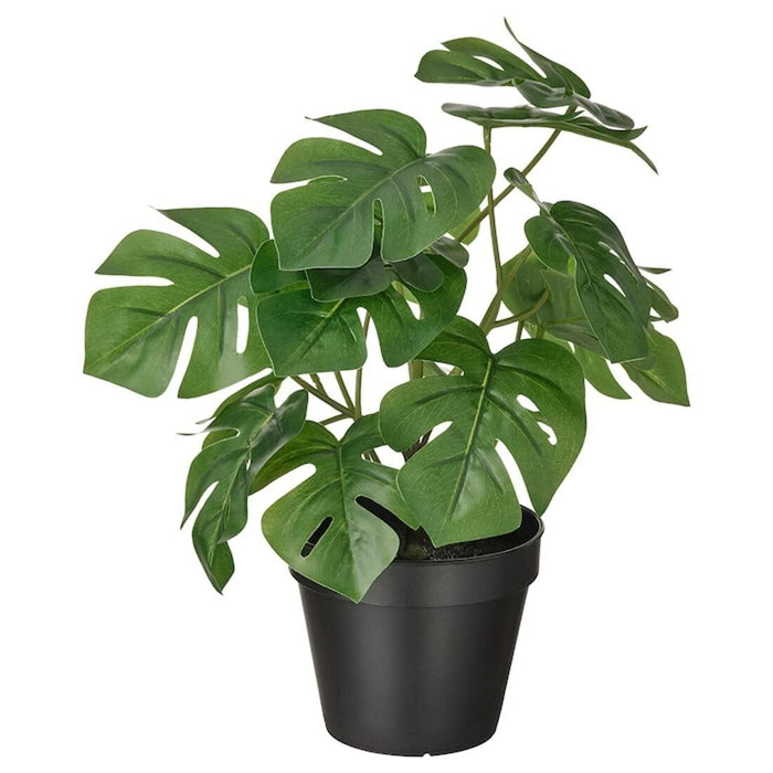 digital shoppyLifelike artificial Monstera plant in a 12 cm pot, featuring green leaves with distinctive perforations and delicate detailing.  30493345