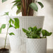 A versatile IKEA plant pot that can be used for different types of plants. 10441908