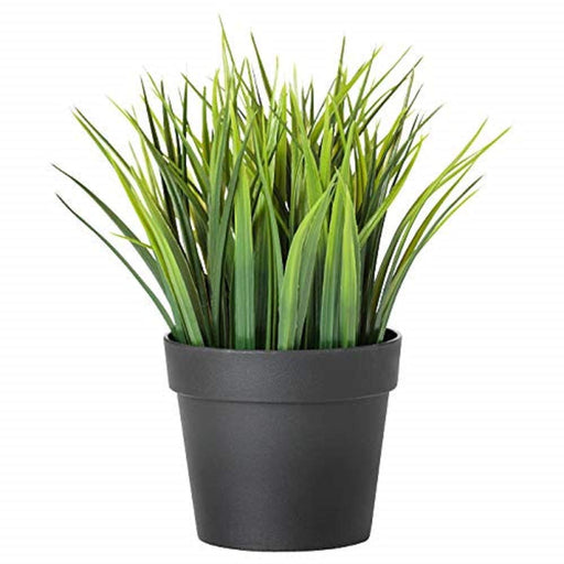 Digital Shoppy A realistic-looking artificial potted plant from IKEA, with green leaves and stems. 80433943