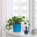 An Ikea pot perfect for housing your favorite houseplant, with a blue color and a classic look. 10483390