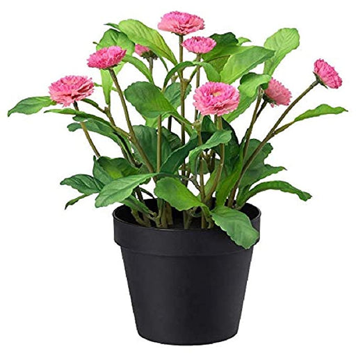 Digital Shoppy IKEA Artificial potted plant, in/outdoor/Common daisy pink, 12 cm 10395341 decor indoor outdoor online low price, A lifelike artificial pink common daisy plant in a small pot, perfect for indoor or outdoor use. 