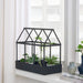 The IKEA Decoration Greenhouse is the perfect addition to any home or garden, enhancing aesthetics and functionality.