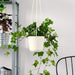 The IKEA Hanging Planter, 12cm size, is perfect for an indoor herb garden 30487801
