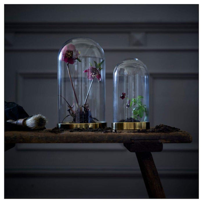 A clear glass dome with a preserved butterfly inside, adding a unique and elegant touch to any room.